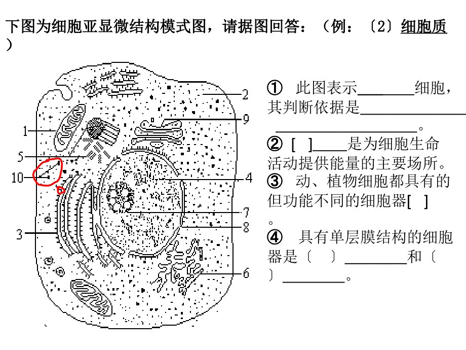 第3章第3节细胞核-系统的控制中心_第2页