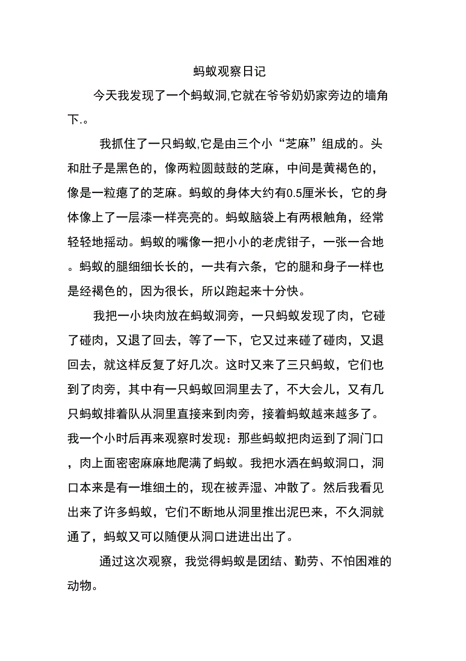 蚂蚁观察日记_第1页