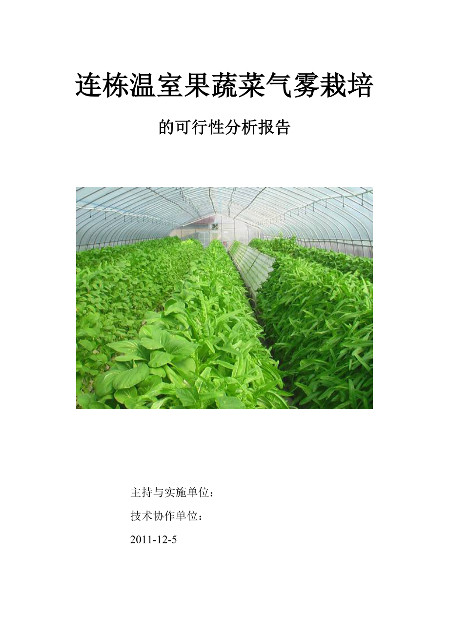 连栋温室果蔬菜气雾栽培的可行性研究报告.doc_第1页