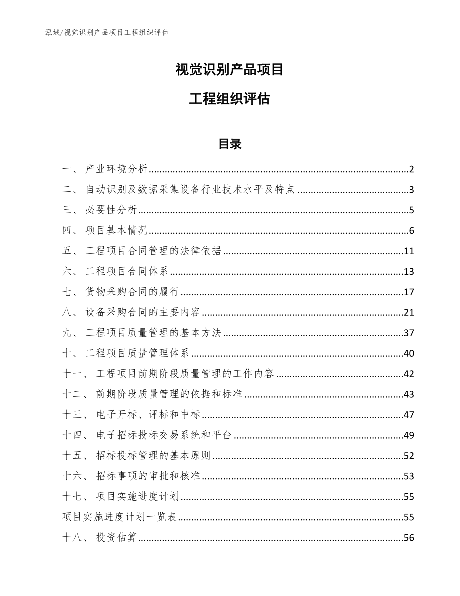 视觉识别产品项目工程组织评估_第1页