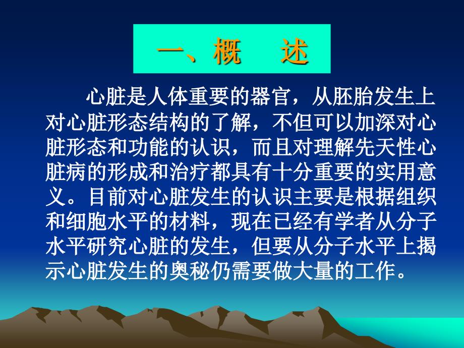 系统解剖学课件：心脏的发生_第2页