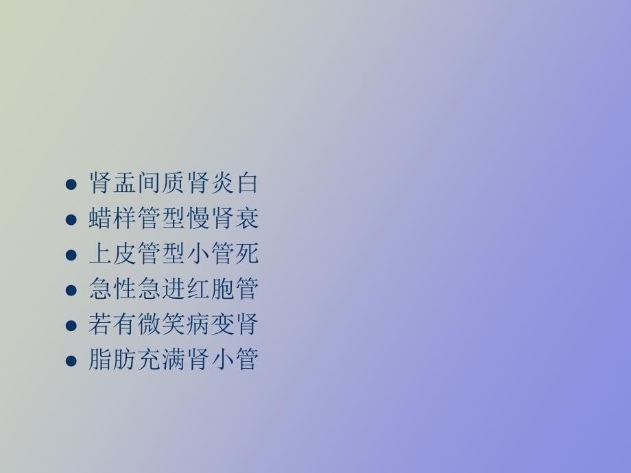 泌尿系统教学_第5页