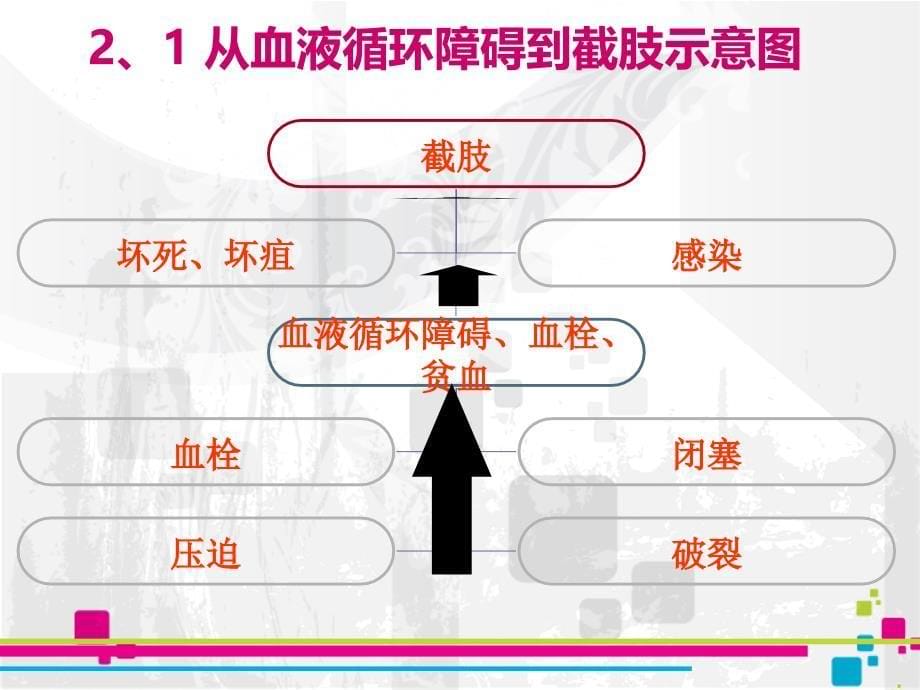 试讲截肢概述课件_第5页