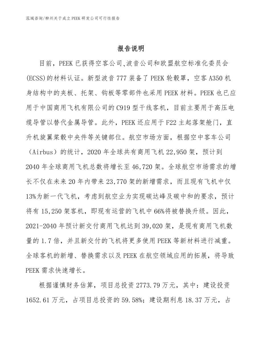 柳州关于成立PEEK研发公司可行性报告_模板范文_第5页