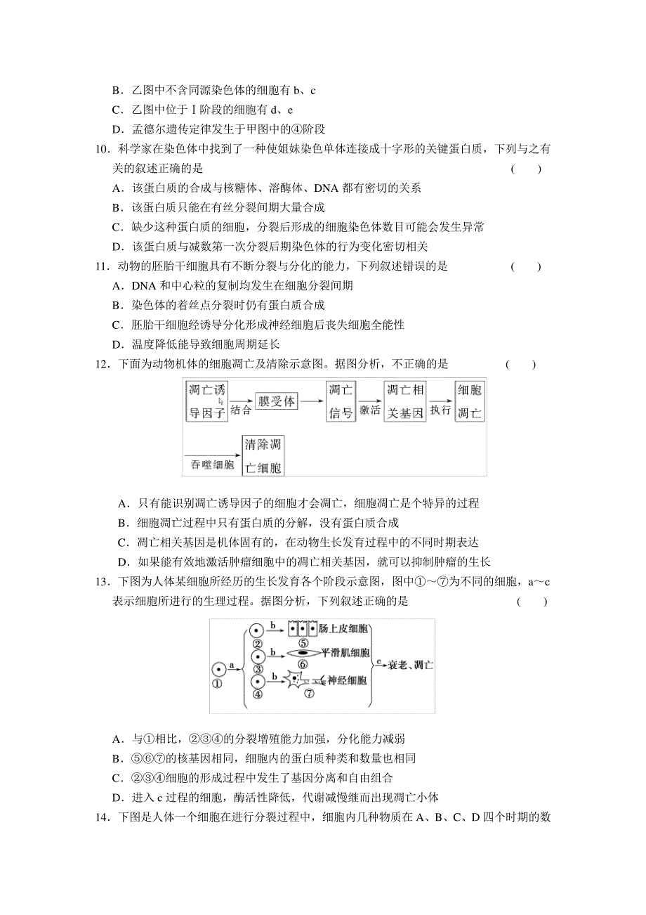 专题三细胞的生命历程_第3页