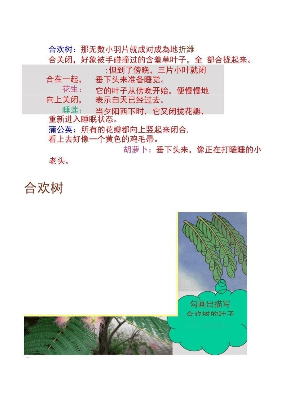 西师大版三年级语文上册课件植物的睡眠2_第5页