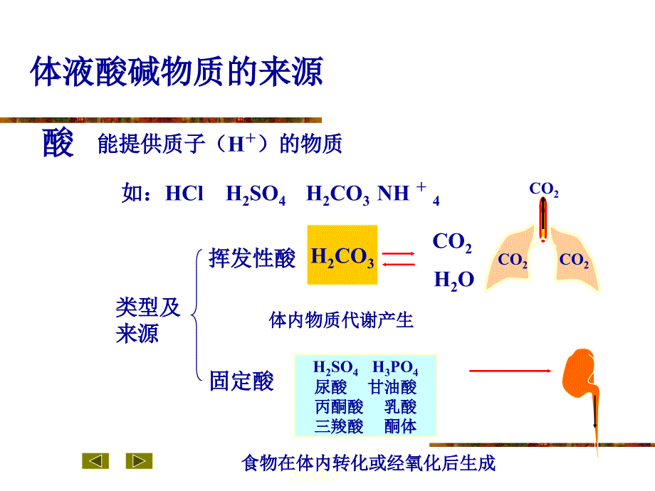 医学超级全之病生04酸碱平衡和酸碱平衡紊乱_第3页