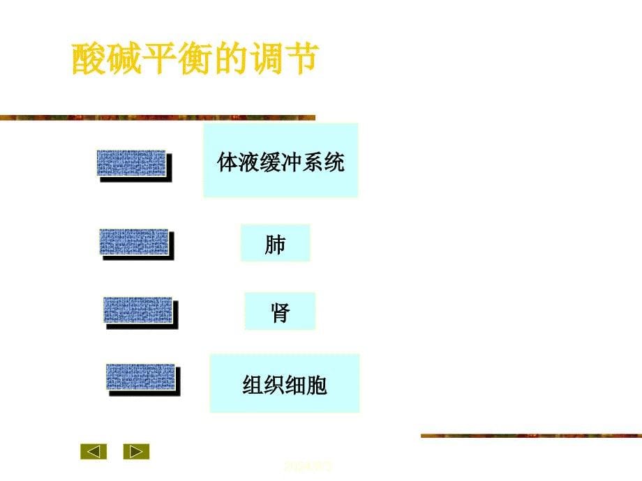 医学超级全之病生04酸碱平衡和酸碱平衡紊乱_第5页