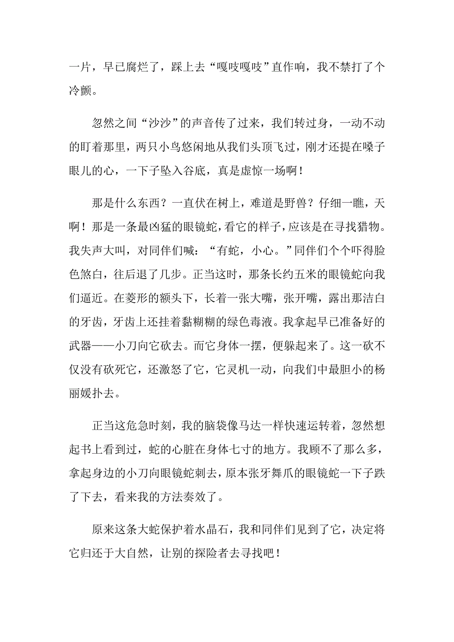 神奇的探险之旅作文600字5篇_第4页