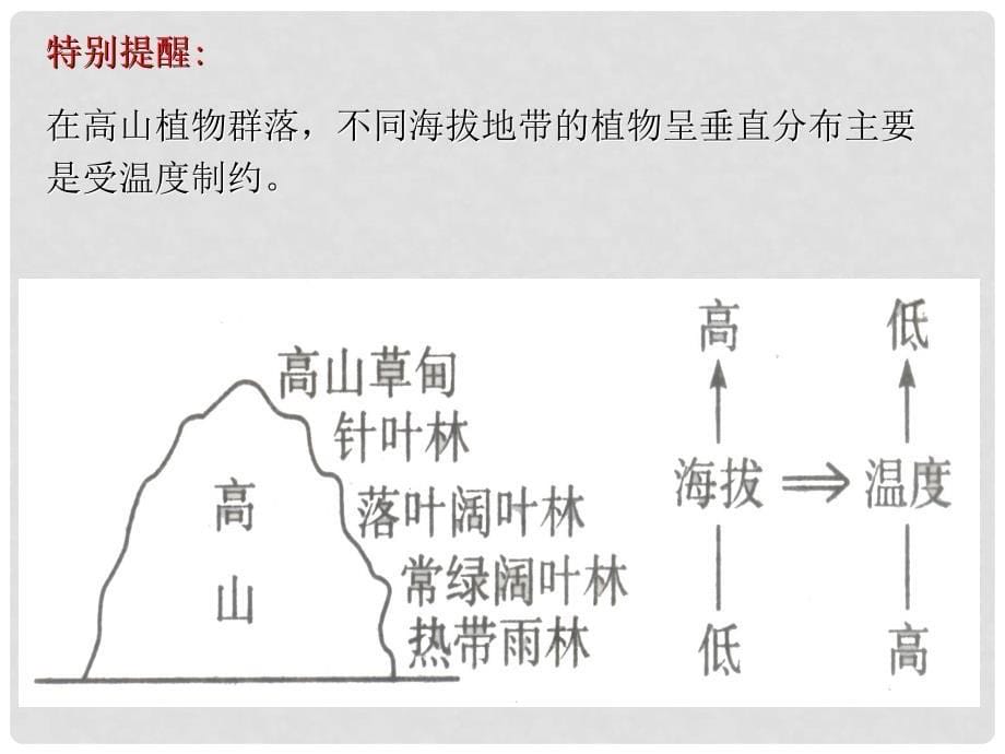 高中生物 5.2 植物生长型和群落结构PPT课件 浙科版必修3_第5页