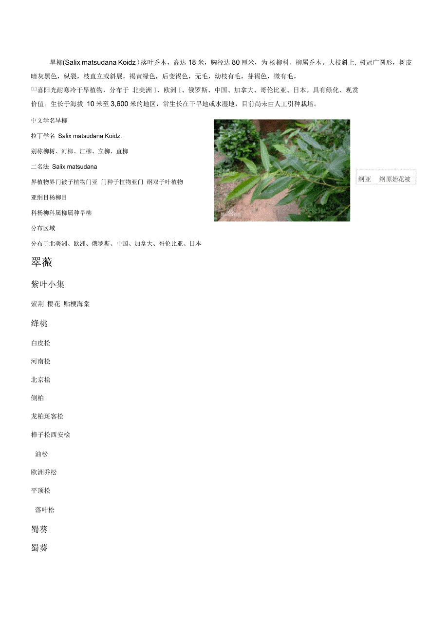 校园绿化树木图片和简介_第1页