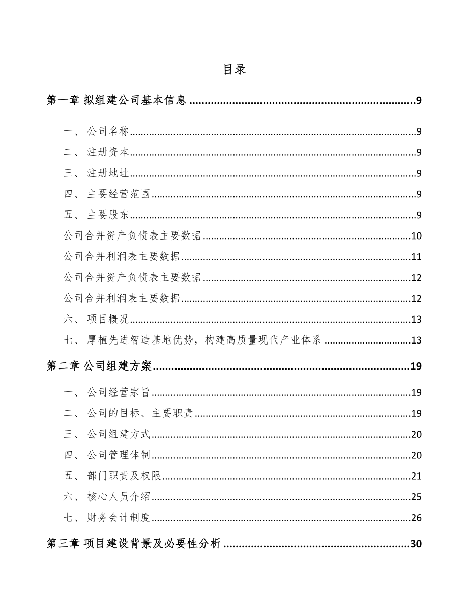 绍兴关于成立高性能纤维公司可行性研究报告_第4页