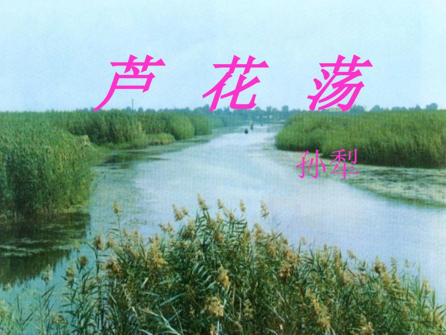 芦花荡 (5)_第1页