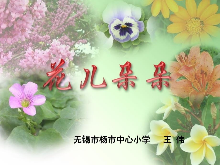 花儿朵朵（一）教学课件_第1页