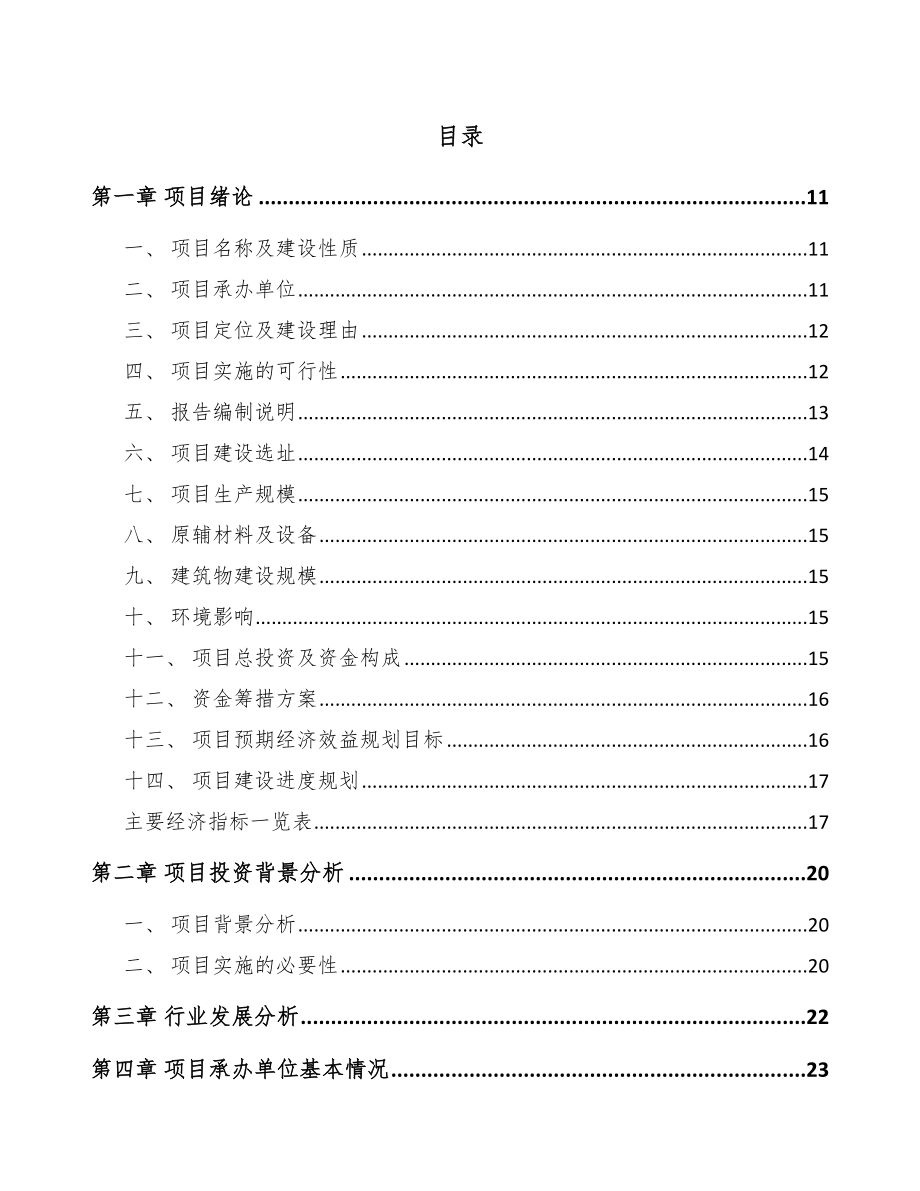 匀胶铬版项目可行性报告_第2页