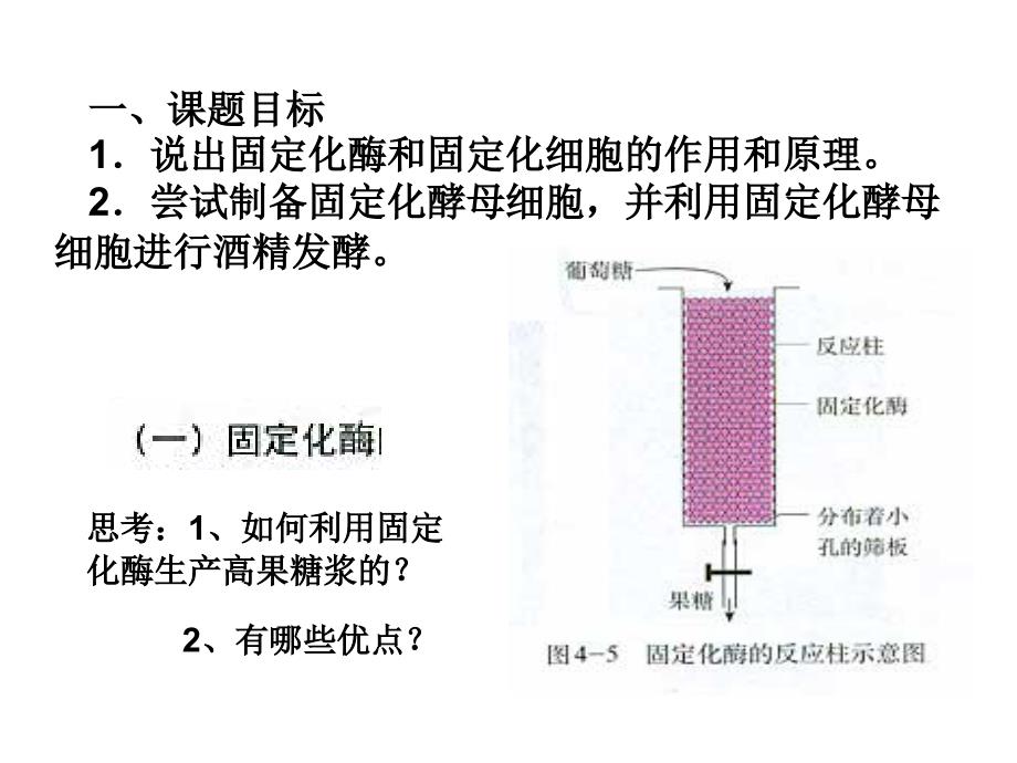 《酵母细胞的固定化》课件高_第3页