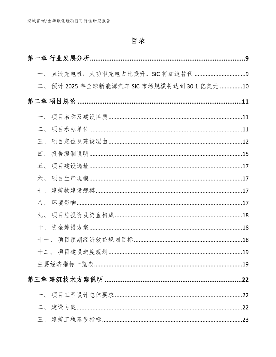 金华碳化硅项目可行性研究报告模板范本_第2页