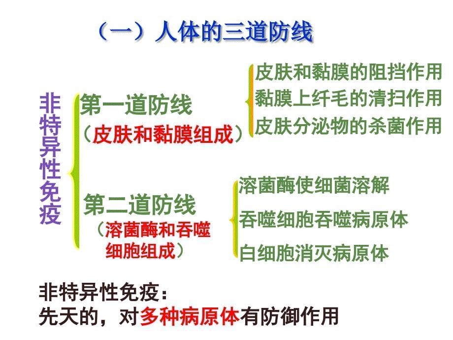 高中生物必修三免疫调节ppt课件_第5页