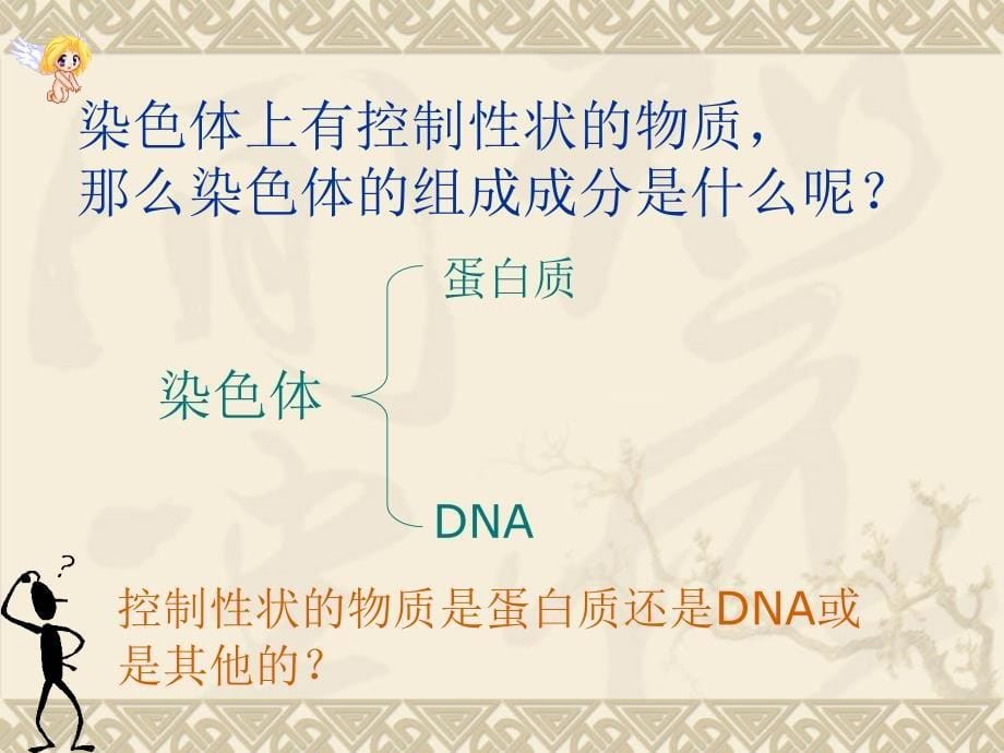 教学课件第2节性状遗传的物质基础_第5页