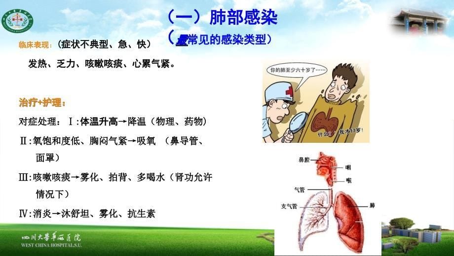 肾移植术后并发症2ppt课件 17页_第5页