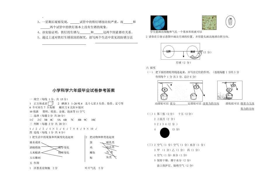 (完整版)教科版小学科学六年级毕业试卷及答案,推荐文档_第3页