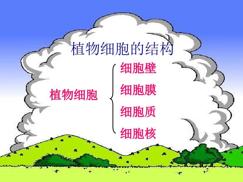 洋葱鳞片叶表皮细胞的结构文档资料_第1页