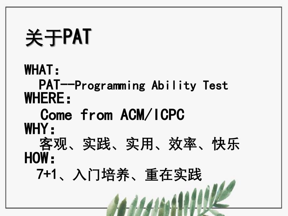 PAT01PAT入门基础_第3页