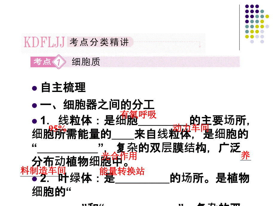 必修一32细胞质与生物膜系统PPT文档_第3页