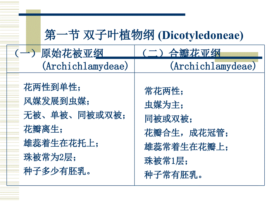 园林植物学：第八樟 木麻黄目-胡桃目_第2页