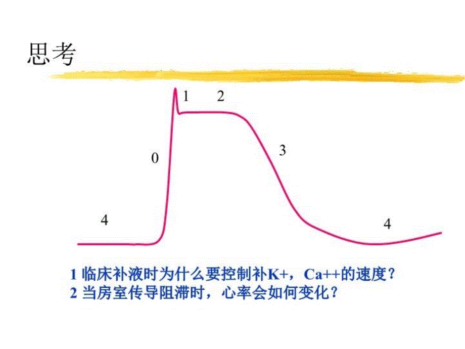 最新循环系统血管生理教学课件PPT课件_第3页