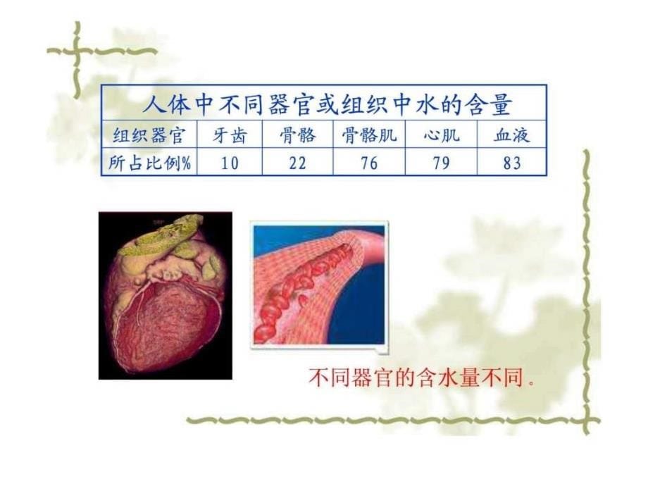 高一生物必修一细胞中的无机物_第5页