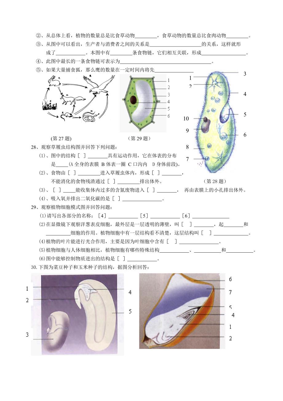 七年级生物半期检测_第3页