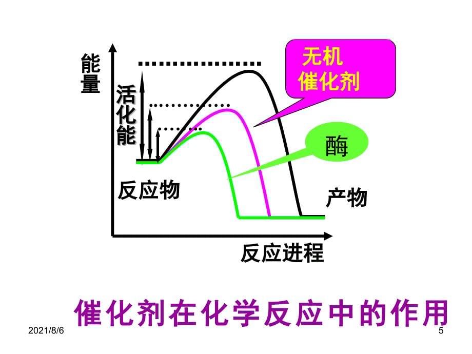 专题2细胞代谢_第5页