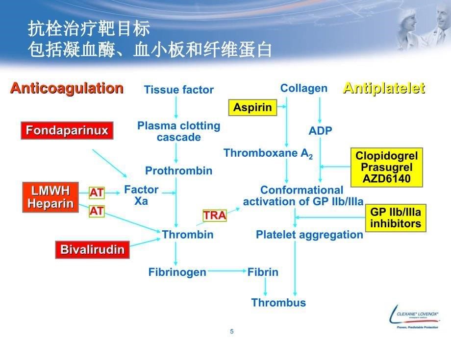 “获益”还是“净获益”——从指南变迁看acs的凝治疗吕树铮_第5页