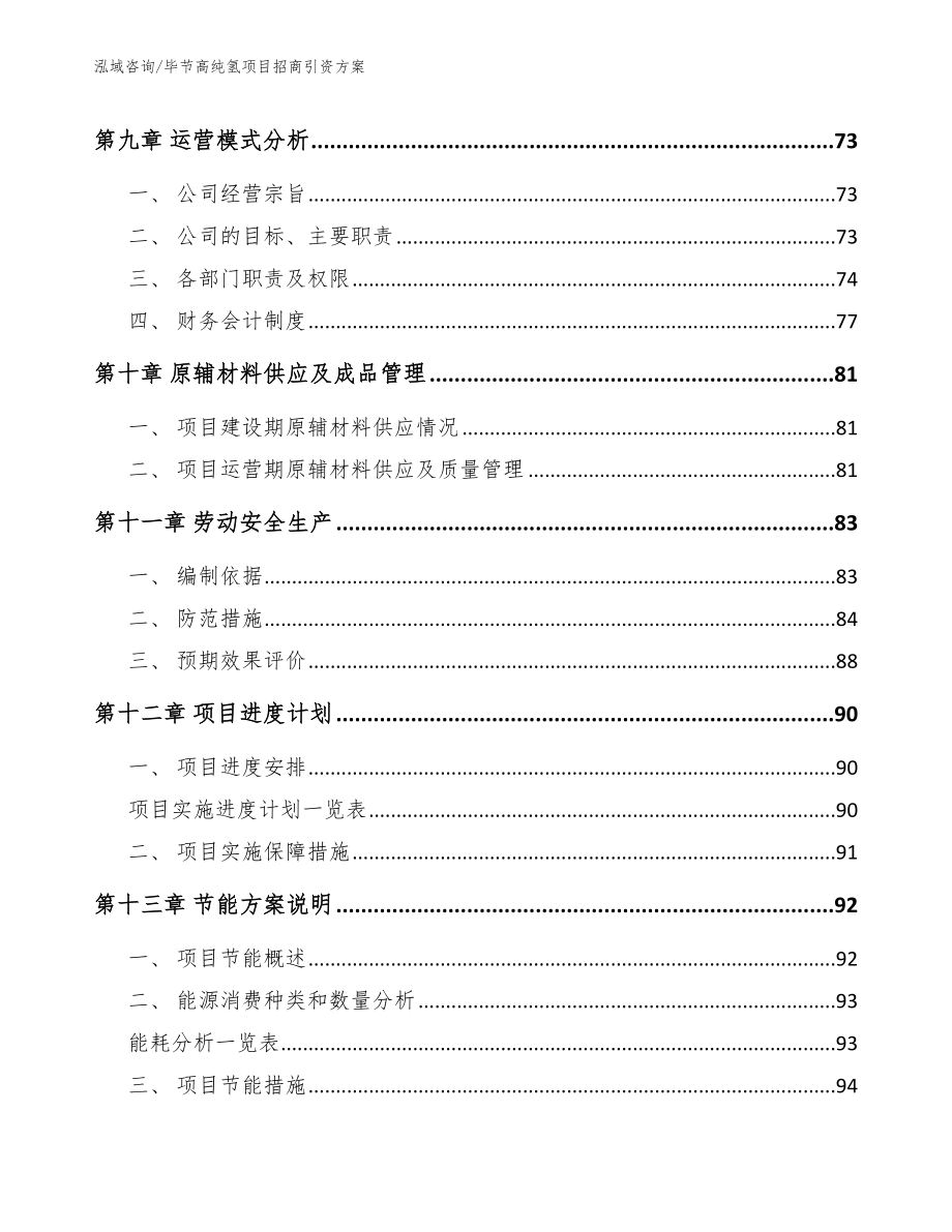 毕节高纯氢项目招商引资方案_参考模板_第3页