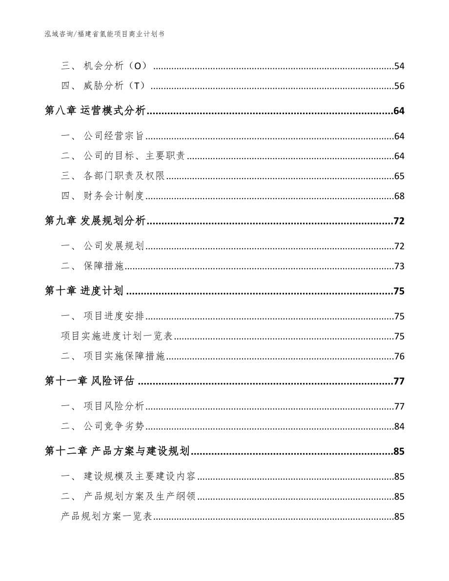 福建省氢能项目商业计划书_范文模板_第5页