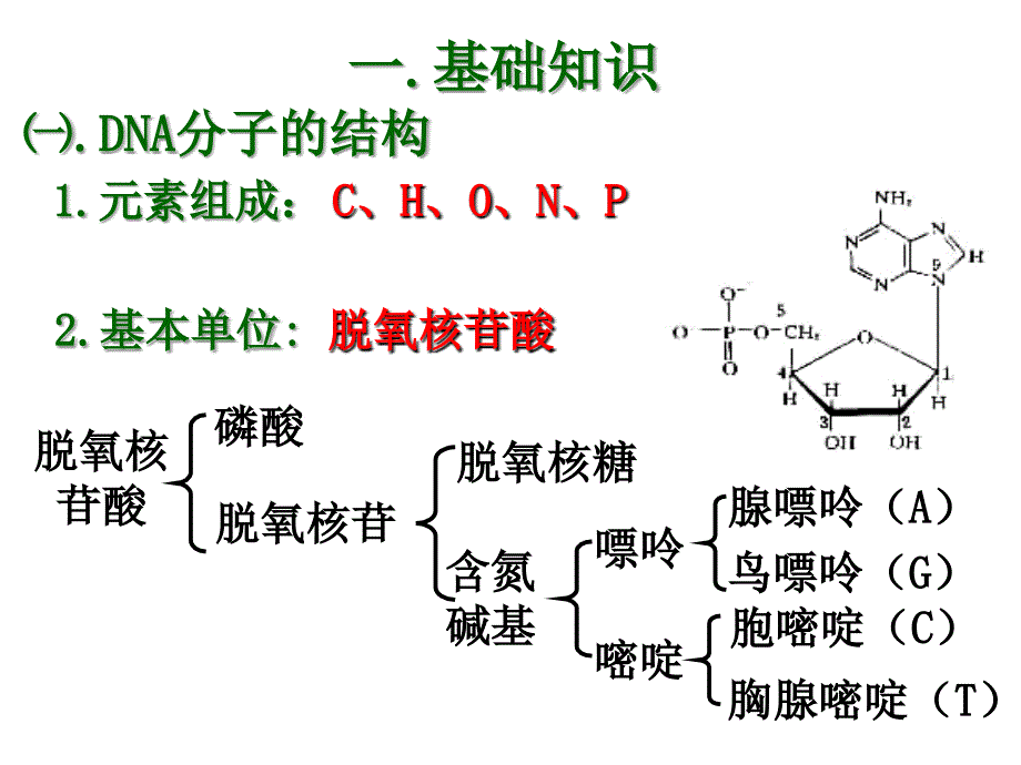 5.2多聚酶链式反应扩增DNA片段.ppt_第2页