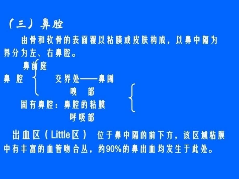 人体解剖生理学呼吸系统_第5页