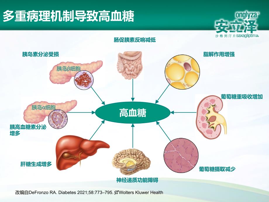 DPP4抑制剂的临床应用与优势_第4页