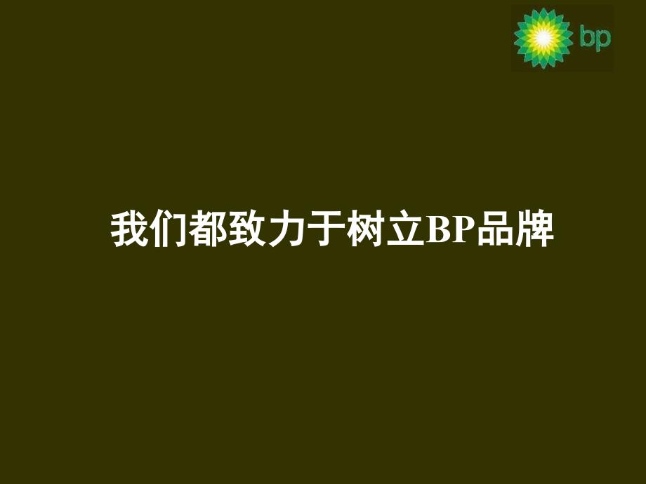 世界500强品牌宣传手册知识探索_第2页