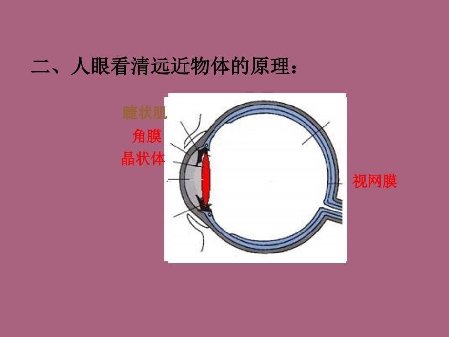 山东省泰安新泰市八年级物理上册5.4眼睛和眼镜ppt课件_第5页