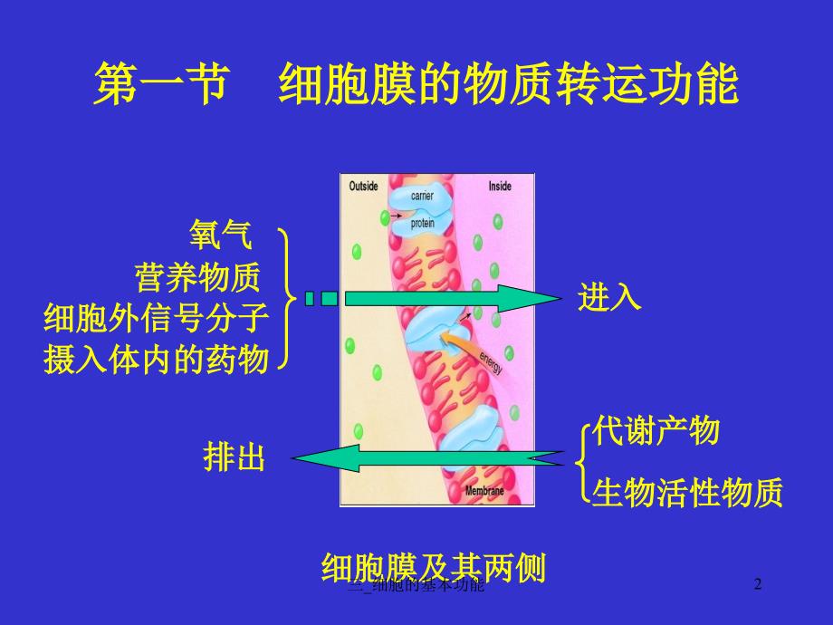 三细胞的基本功能课件_第2页