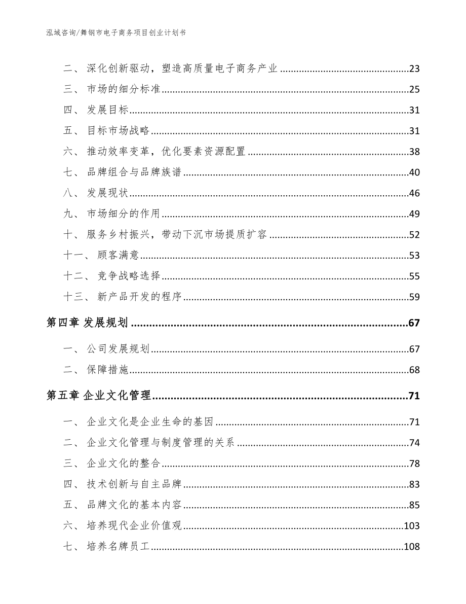 舞钢市电子商务项目创业计划书_第3页