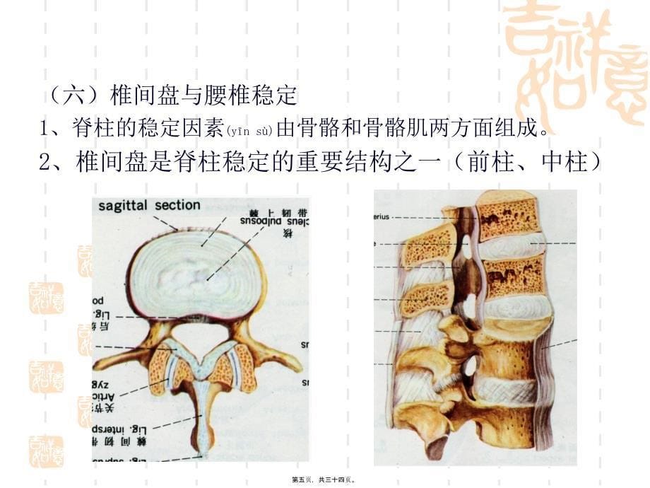 医学专题—腰椎间盘突出症诊治中的思考31669_第5页