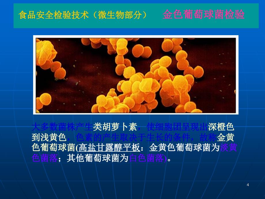 金黄色葡萄球菌检验ppt课件_第4页