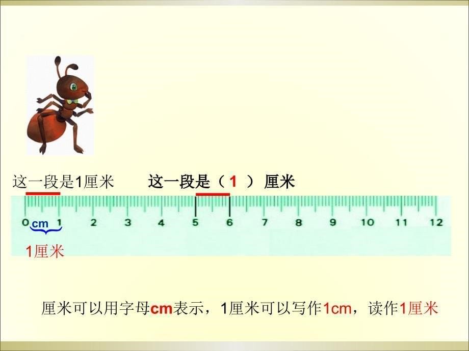 西师版小学数学二年级上册用厘米作单位量长度_第5页