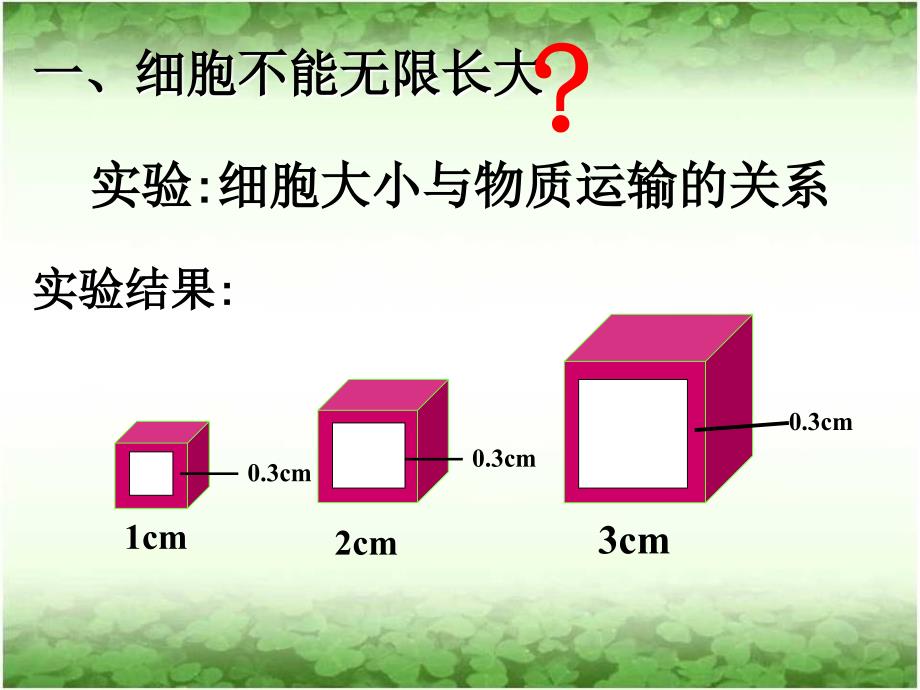 细胞的增殖课时PPT课件_第4页