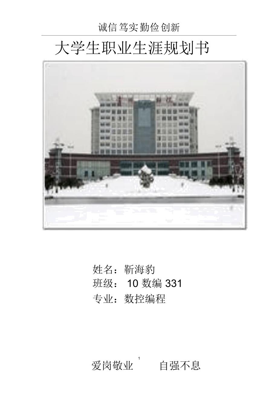 大学生职业生涯规划书(靳海豹)_第1页