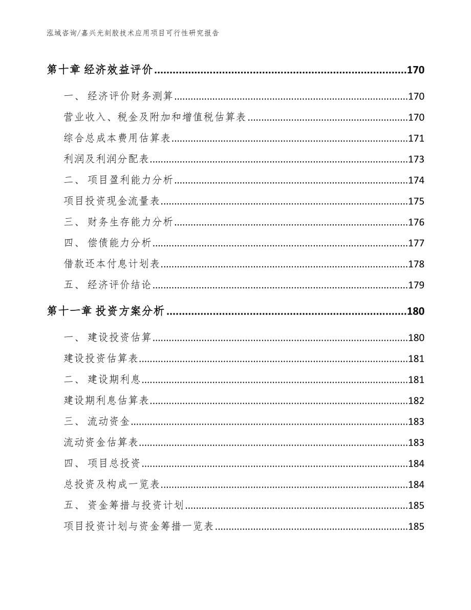 金华光刻胶技术应用项目可行性研究报告范文参考_第5页