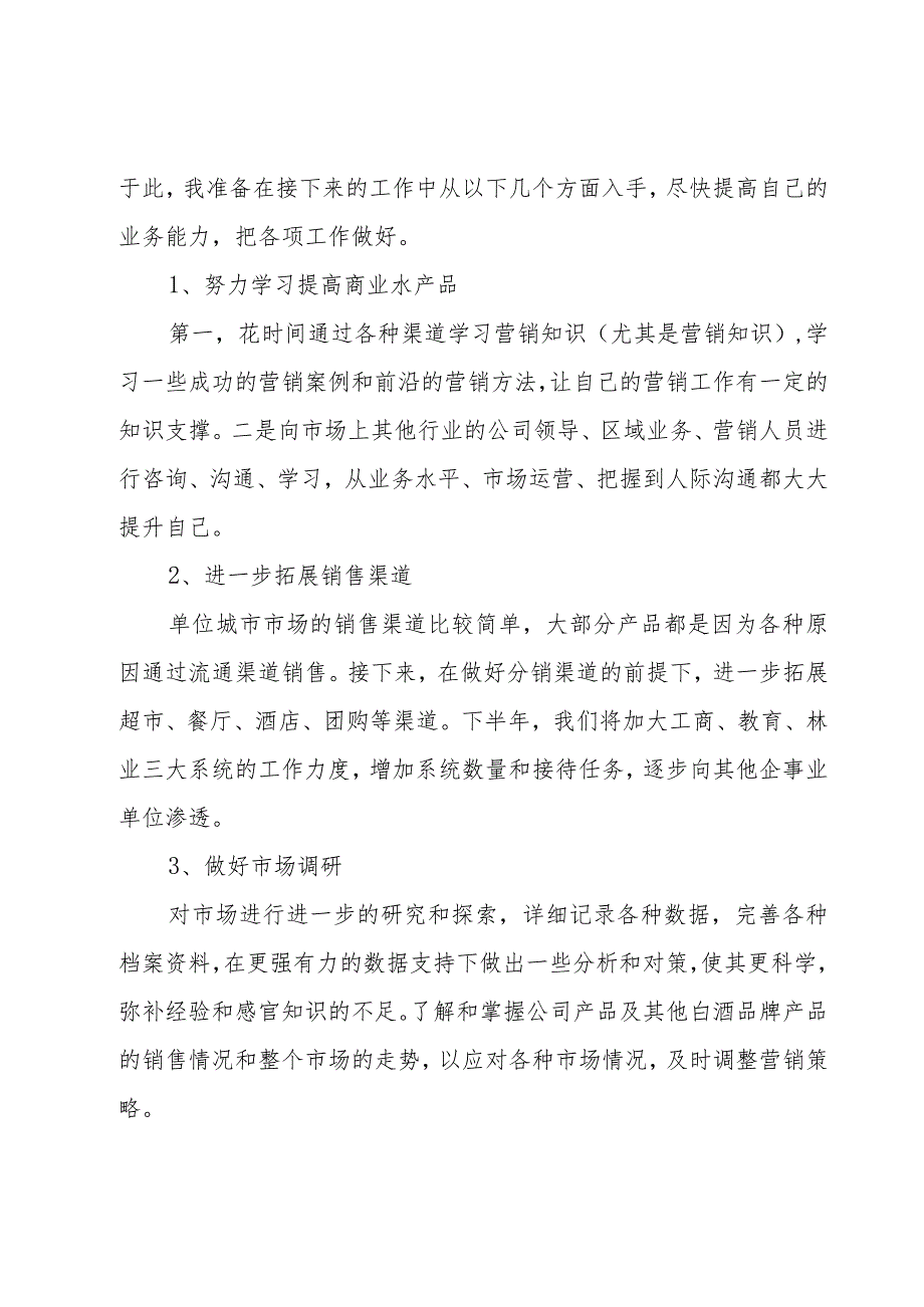 销售员试用期工作总结15篇_第3页